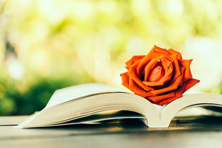 怎样提升一个人英语写作的文笔?